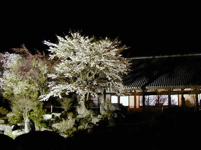 �����O���u���O��