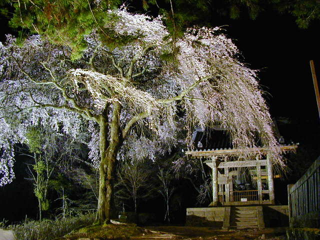 �����O���}������