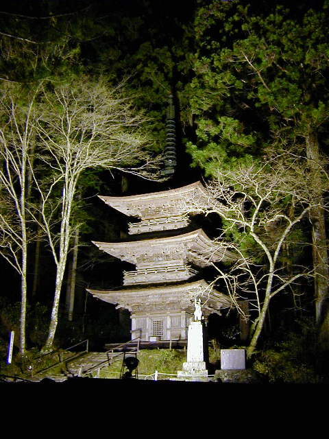 �����O���O�d�̓���